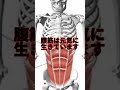 【バキバキ】絶対に腹筋を割る方法を教えます【アトム法律事務所パロディ】#shorts