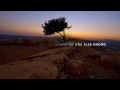 Beckah Shae - Stay (Lyric Video)