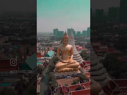 WAT PAKNAM | BANGKOK TAILÂNDIA | OGM EM MOVIMENTO