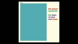 "Until Lately" The Dream Syndicate (1982, vinyl needle drop from "The Days of Wine and Roses" LP)