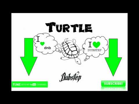 TurtleDubstep present: Stim Axel - Zen