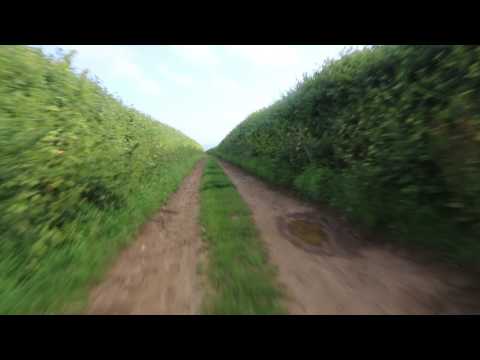 Green Lanes in a Dacia Duster - Ridget Lane, Mottistone. Isle of Wight