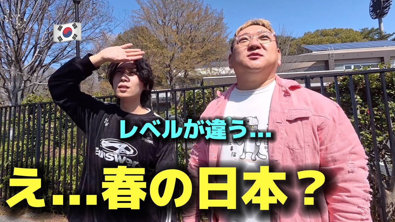 え…これが春の日本？初めての公園で韓国人が感動した理由