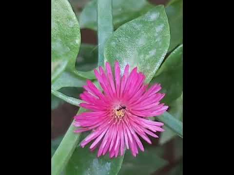 A little part of my photo album. A way of sharing my excitement and appreciation for May's arrival!