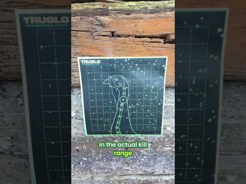 Hatsan Escort .410 Review | The Ultimate Budget Turkey Gun?