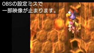 大好きなスーパードンキーコング2:21