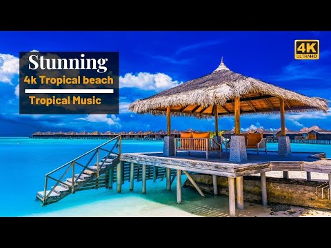 4k Tropical Beach | Beautiful Tropical Music | Chill & House Music | Maldives Island & Bora Bora