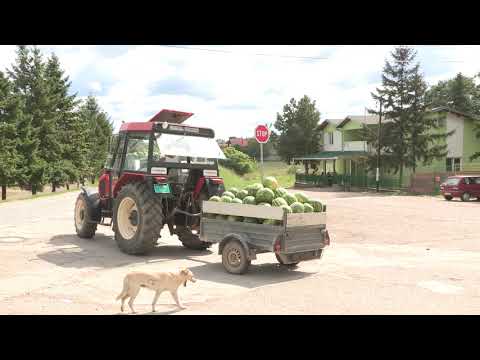 Imamo rešenje ep. 115 16.08.2021. NAJAVA