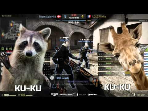APM S2: TSM vs LDLC White (Inferno)