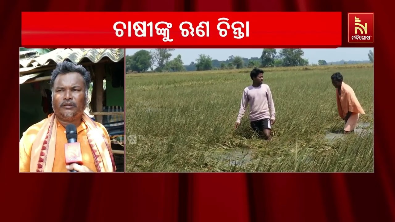 ବନ୍ୟା ଜଳ ଛାଡ଼ିଯାଇଛି, କିନ୍ତୁ କୋଟପାଡ଼ରେ ବଢ଼ିଛି ଚାଷୀଙ୍?