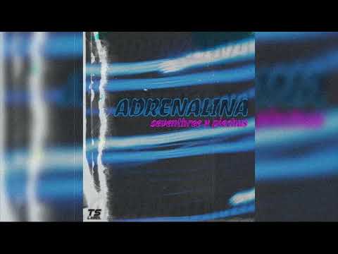 seventhree x piechus - Adrenalina