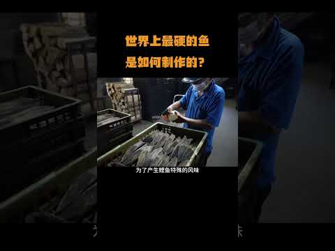 世界上最硬的鱼，是如何制作的？#鲣鱼干 #鲣鱼 #科普