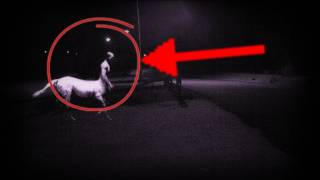 preview picture of video 'Centaur Caught On Tape!'