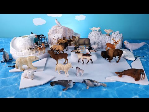 Arctic and Tundra Diorama for Polar Animal Figurines