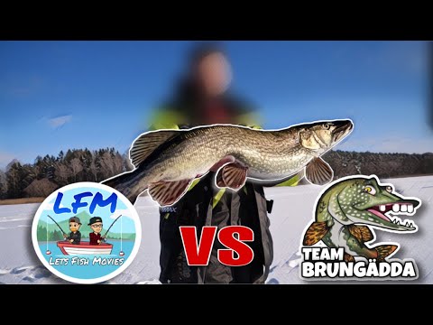 LFM vs TEAM BRUNGÄDDA Ismete - Lets Fish Movies
