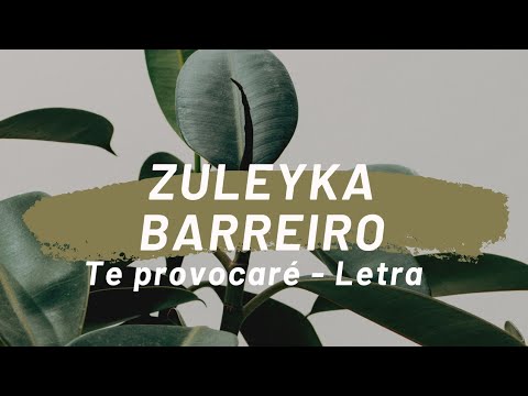 Zuleyka Barreiro- Te provocare Letra