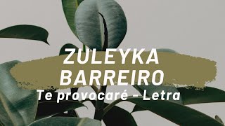 Te Provocare Music Video