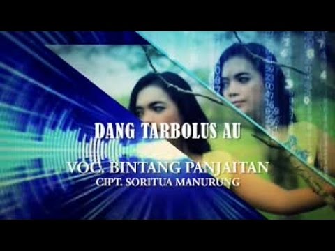 BINTANG PANJAITAN - DANG TARBOLUS AU (Remix Version) (Official Music Video)