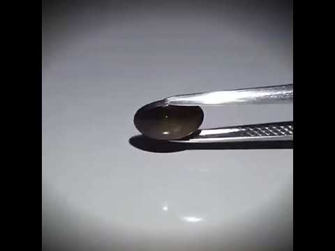 1 24ct Oval Cabochon Black 6 Ray Star Sapphire