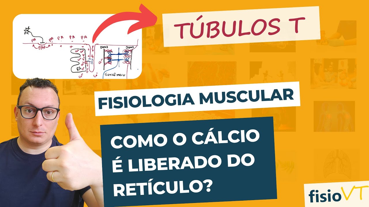 Músculo - #04 - Condução do P.A. no músculo