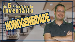 6 Princpios do Inventrio de Estoque - 5 Homogeneidade