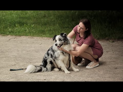 ŘEKNI TO PSEM (2022) - písnička „Nikdy už nebude nic jako teď“ Bereniky Kohoutové a Jiřího Buriana