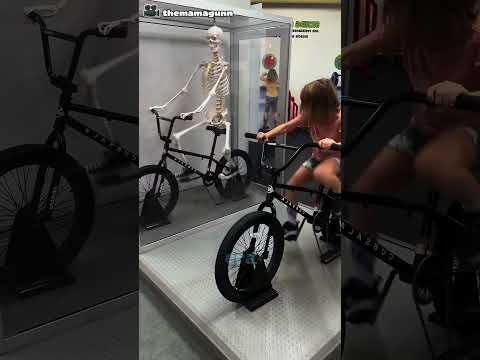 O osso começou a pedalar sozinho 😳