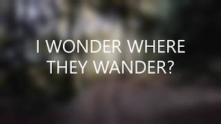 I WONDER WHERE THEY WANDER?