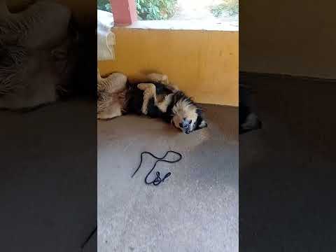 Fazenda centenária Santa Rita do Sapucaí Minas Gerais