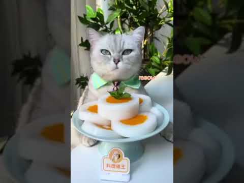 fruit 🍑🍓🍓🍑