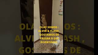 FLASH TENTANDO ABRIR A PORTA