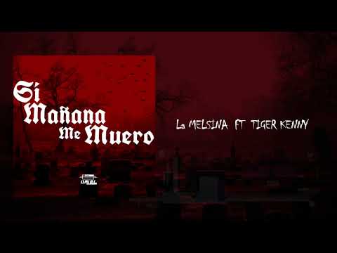 La Melsina X Tiger Kenny X Jaudy - Si Mañana Me Muero REMIX