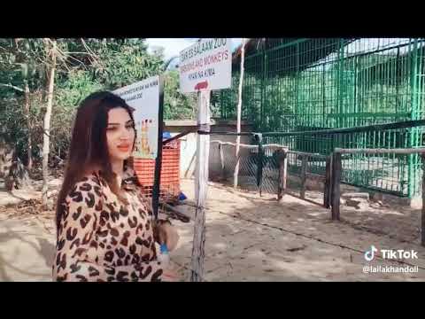 laila khan new song 2019 pashto new song 2019 pashto new song 2018