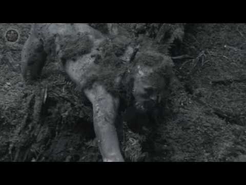 Camouflage Yourself - 5 Seeds: Up The Trees