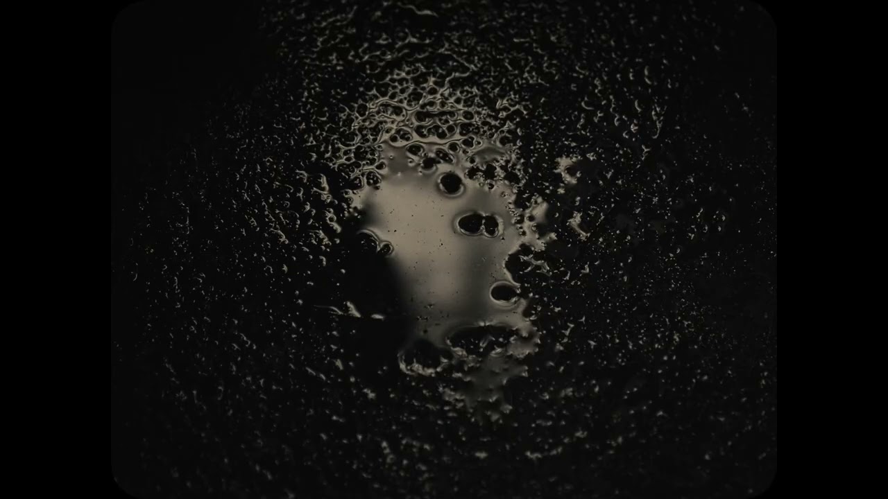 狗与泉 The Dog and the Fountain - Trailer