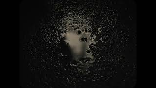 狗与泉 The Dog and the Fountain - Trailer