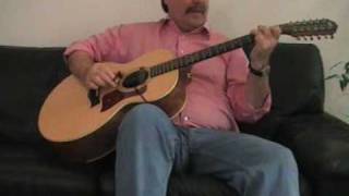 LEO KOTTKE´s      THE DRIVING OF THE YEAR NAIL   12 string guitar
