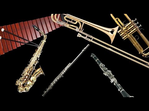 Whip/Nae Nae - for Beginner Concert Band