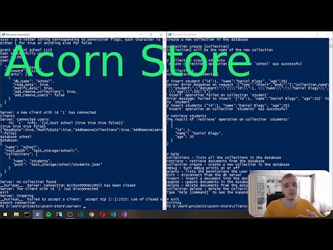 Making a database system in golang, 2 weeks in