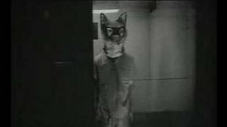 Midlake: Videos of Van Occupanther Pt. 5: &quot;Balloon Maker&quot;