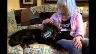 Emmylou Harris and Willie Nelson - Gulf Coast Highway