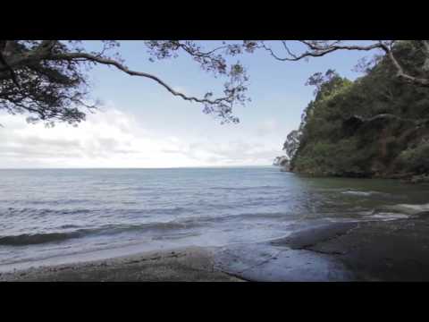 SOLD - 771 South Titirangi Road, Titirangi - Sacha Collins and Brigid O'Connor