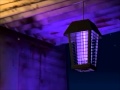 Don T Go Near The Light