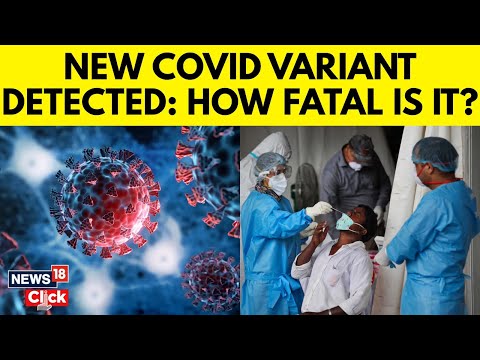 Highly Infectious New Covid Strain From China Led To Massive Spike In Hospitalizations In US | N18G