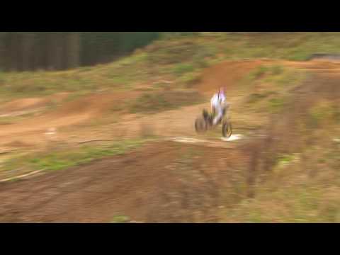 mrs & birdfish present - "DAMCV YOUNGSTERS"