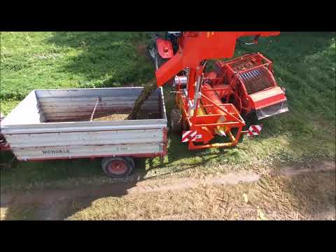 Kürbisernte – Effizient ernten: einfach und kostengünstig. / Entleerung und Erntequalität