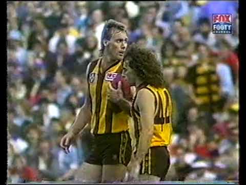VFL 1987 Preliminary Final Hawthorn vs Melbourne ABC commentary