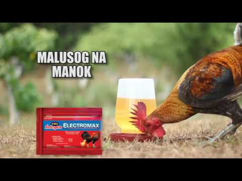 download lagu mp3 mp4 Electromax, download lagu Electromax gratis, unduh video klip Electromax