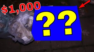 AMAZING! $1,000 Dollars Worth!! Dumpster Dive Night #597