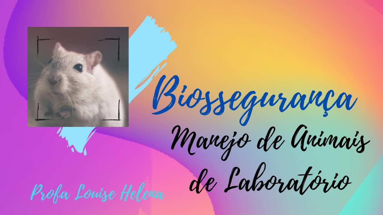 BIOSSEGURANÇA NO USO DE ANIMAIS DE EXPERIMENTAÇÃO - Profa. Louise Helena.